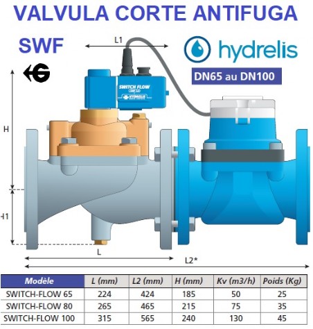 Datos tecnicos valvula antifuga SwitchFlow Dn65 a DN100 gimateg